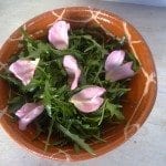 Salada de rúcula com pétalas de rosa
