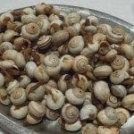 Caracóis, quem é que não gosta de caracóis?