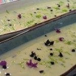 Mousse de Iogurte com Gengibre, Manjericão e Lima