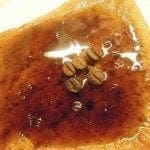 Fatias Paridas de Café com Leite, que bom!